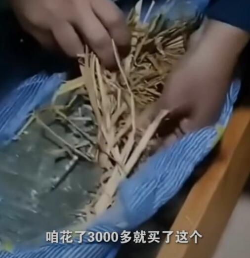 天津一中学床垫被曝用杂草填充,家长称花费三千,教育局:床垫未收费,已换新