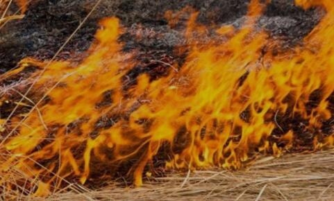 秸秆从全面禁烧到“有条件”放开,实事求是最可贵